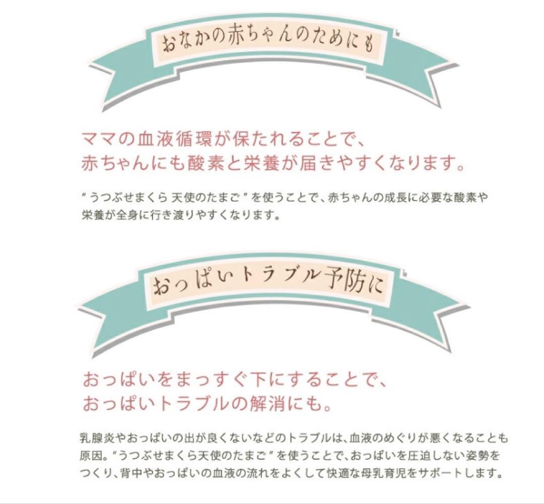 【新品】妊婦　うつ伏せ用　クッション　キャリネス