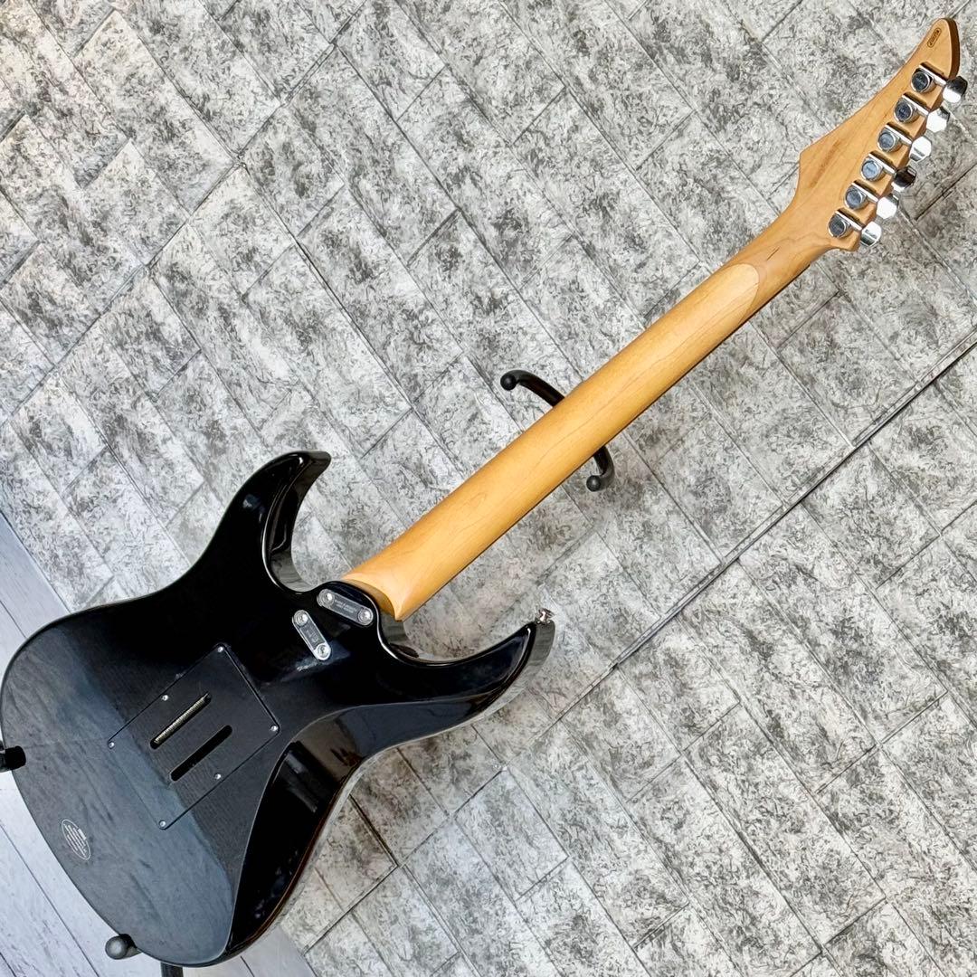 ぴよこさん YAMAHA スーパー・ストラトスタイル RGZ321P