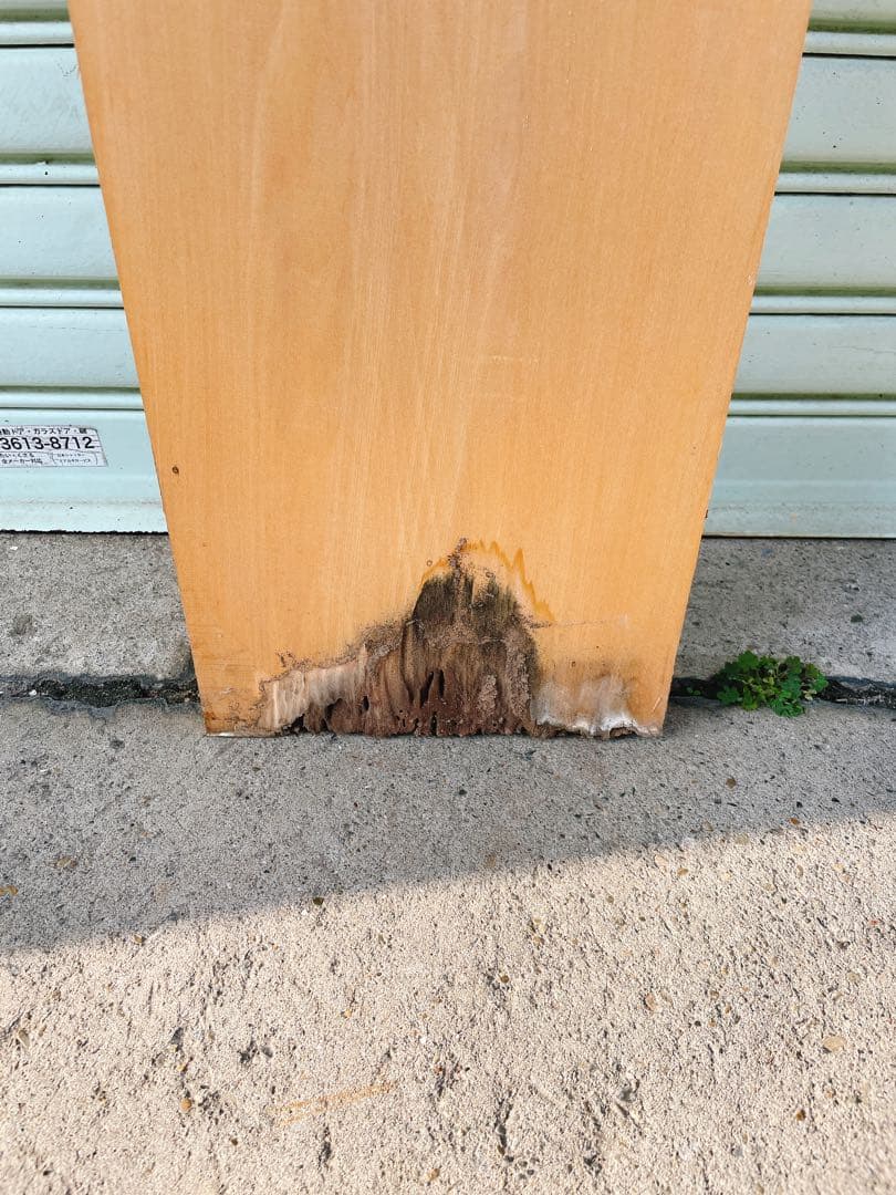 天然楓　一枚板　デスク/カウンターテーブル/棚板/天板