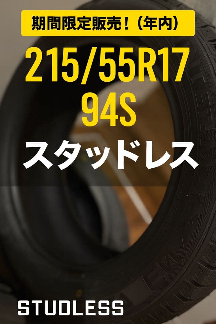 【新品(2024年製)】DUNLOP WINTER MAXX 03 2本セット