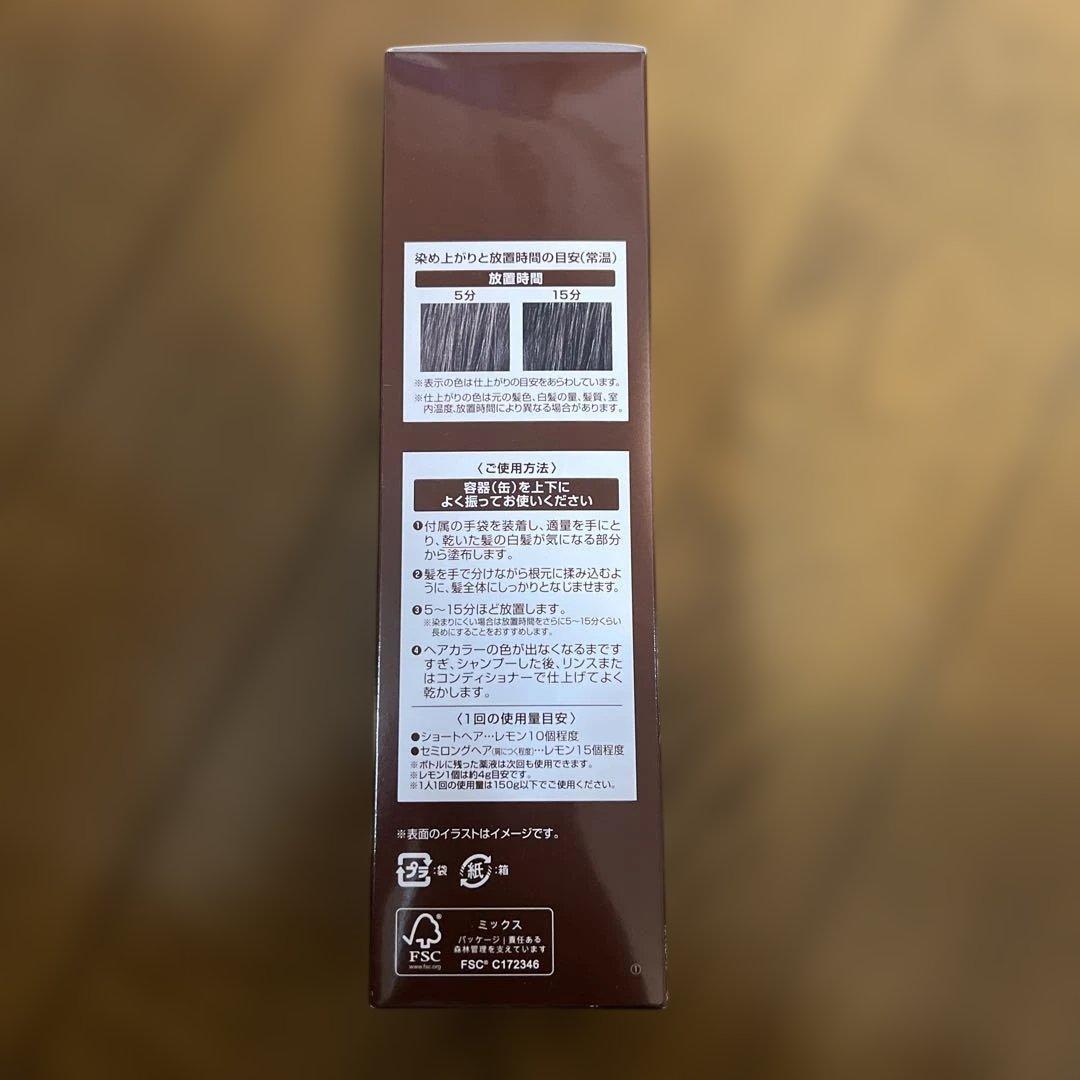 ヘアボーテ　エクラ　ボタニカルエアカラーフォーム　EX ダークブラウン2本セット