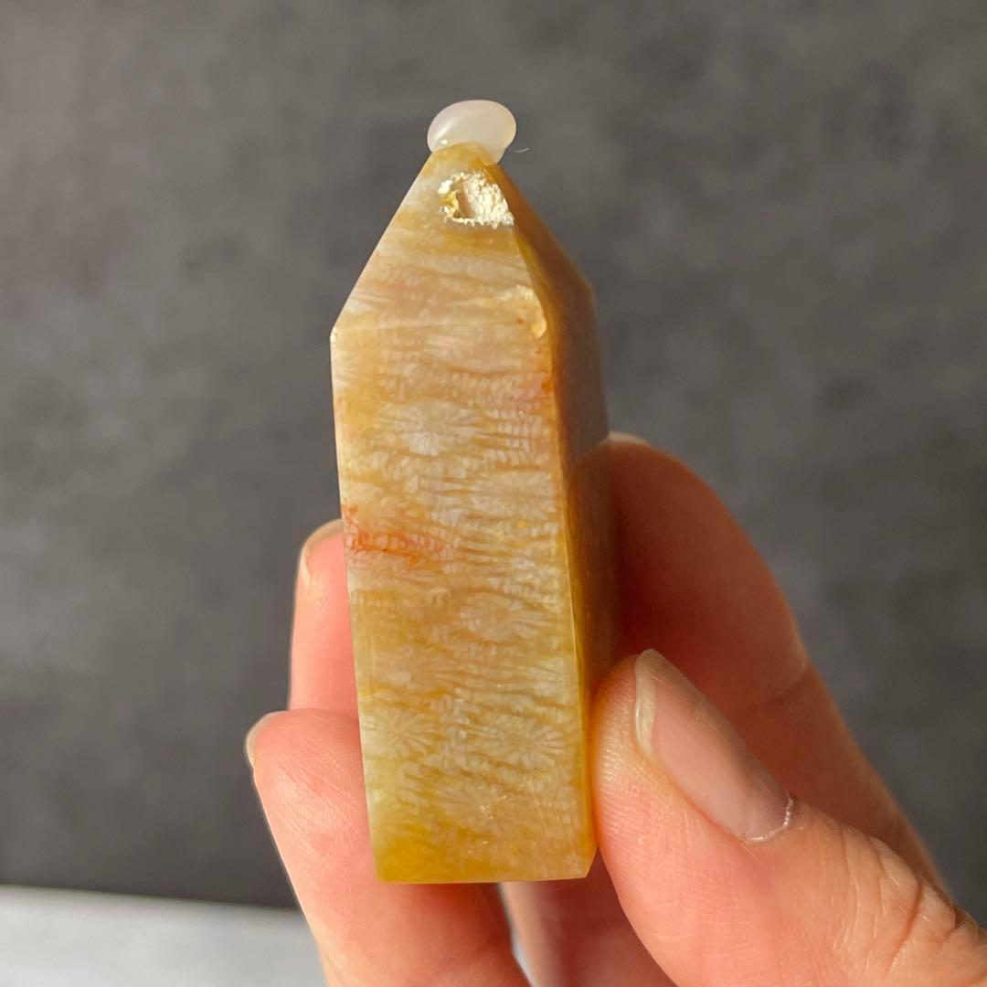 フォッシルコーラル ポイント