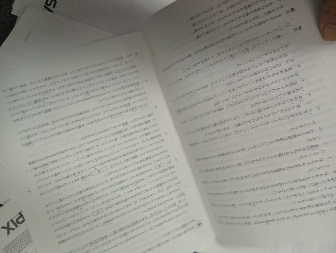 サピックス　4年 マンスリー確認/復習/組分け テスト　13回　2017年度版