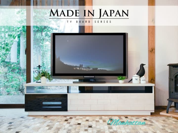 テレビボード【国産】【完成品】 収納付き ロータイプ モダン ローボード