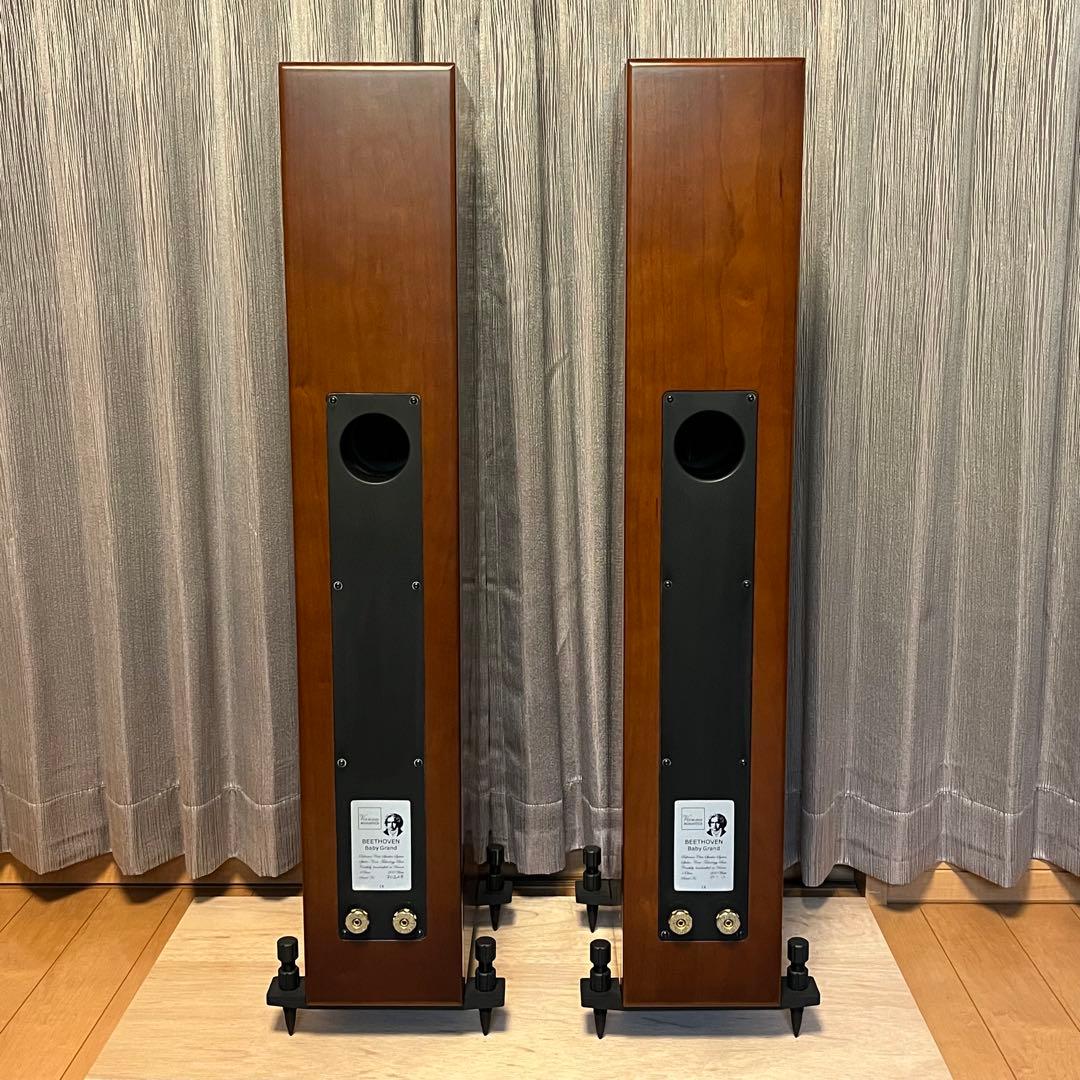 ☆★② Beethoven Baby Grand SE 美品！の諸雑費★☆