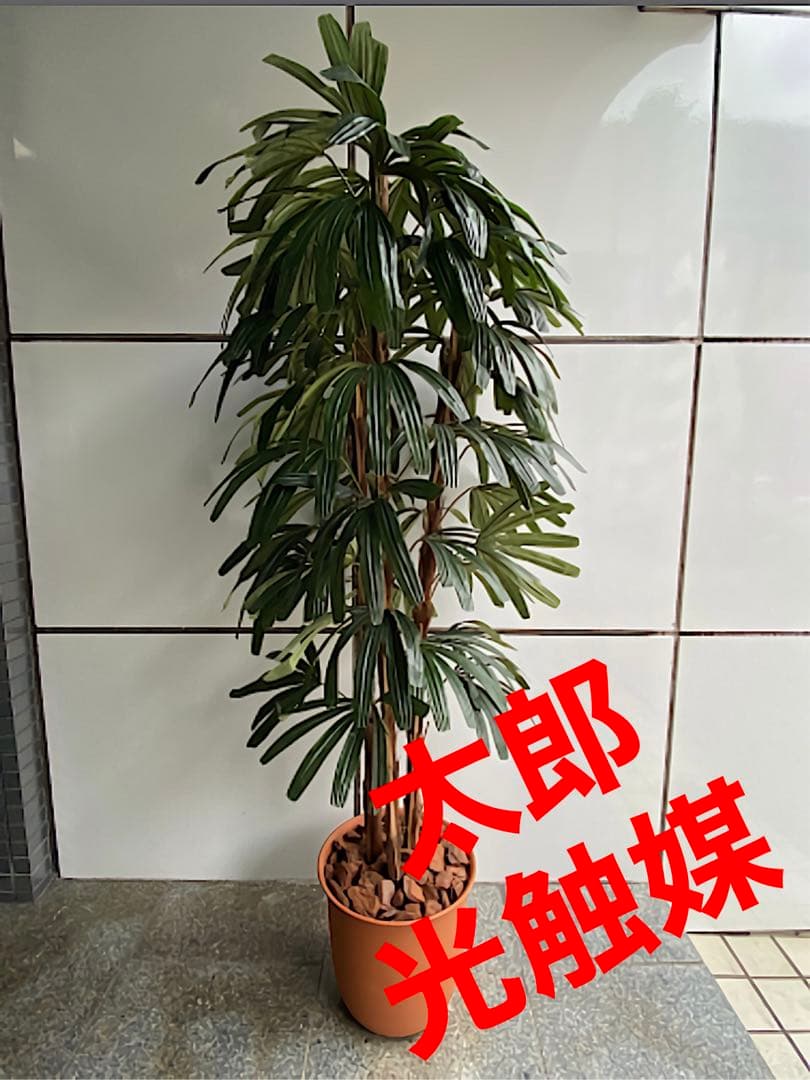 光触媒　人工観葉植物　ウォールグリーン　フェイクグリーン　シュロチクak