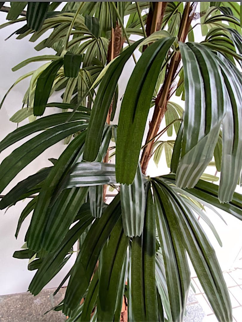 光触媒　人工観葉植物　ウォールグリーン　フェイクグリーン　シュロチクak