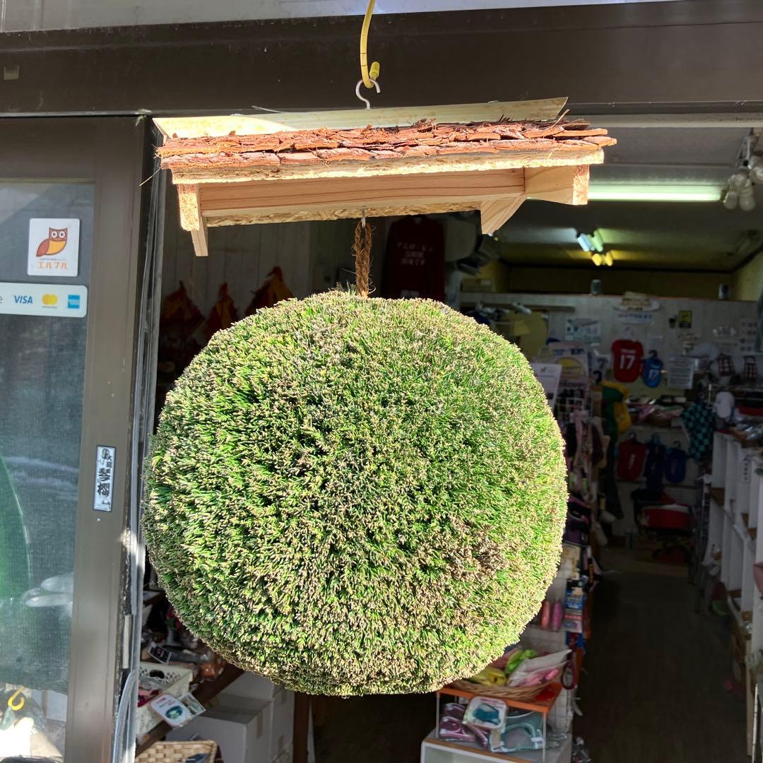 杉玉【屋根付き】③