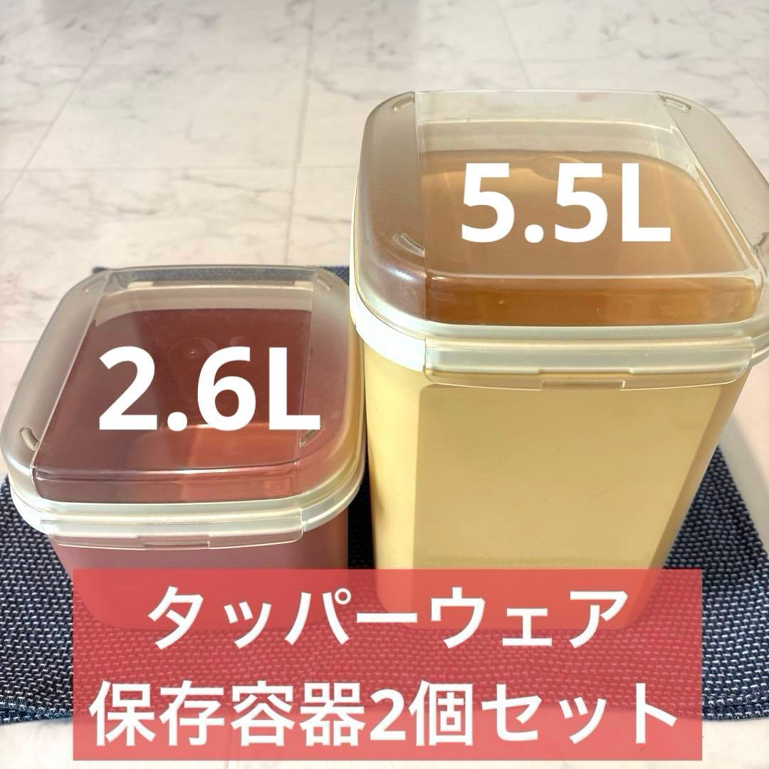 タッパーウェア　プラスチック製保存容器 2個セット　ケース