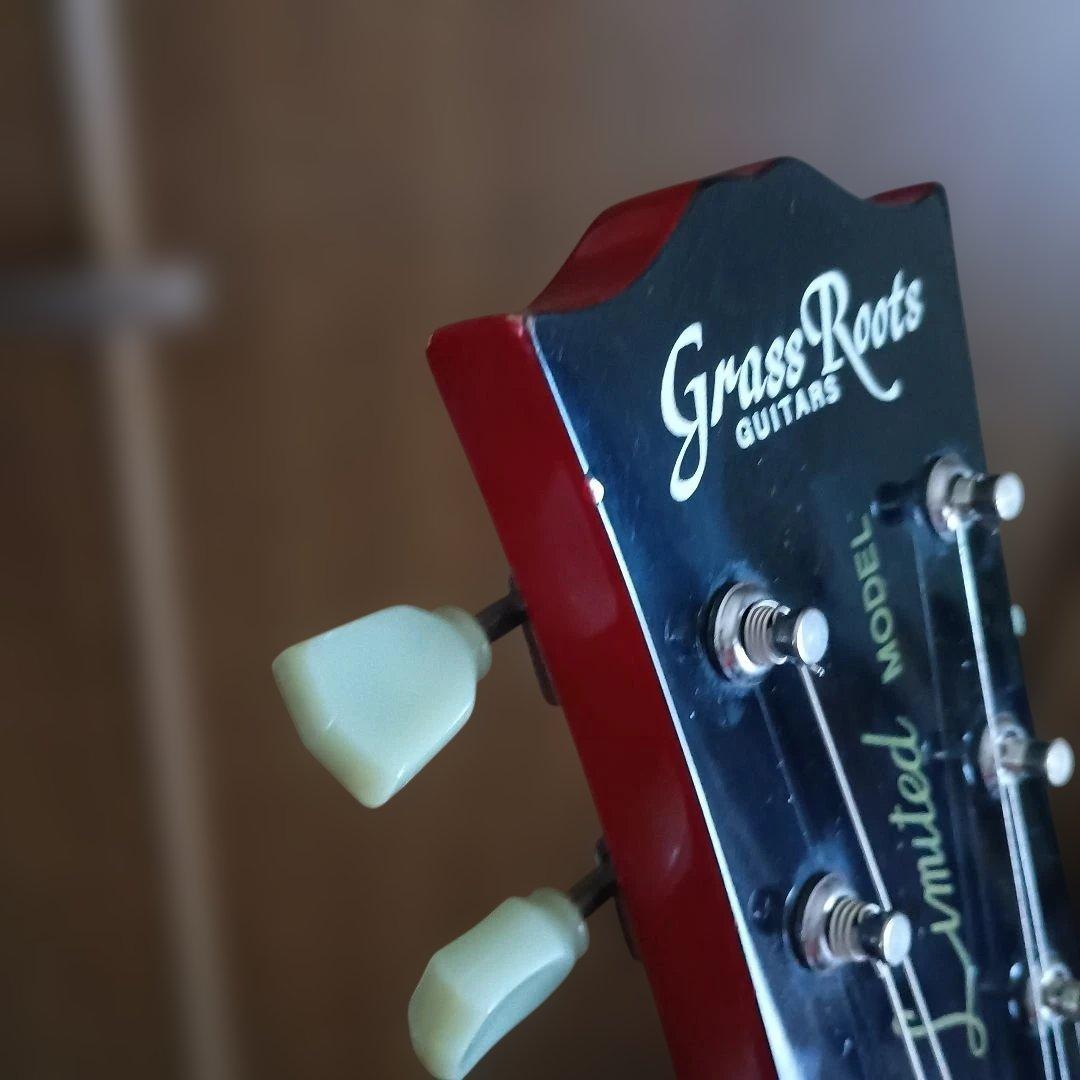 k*y様 Grass Roots Limited Model レスポール