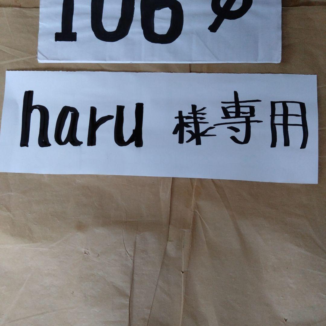 haru径106mm煙突セット