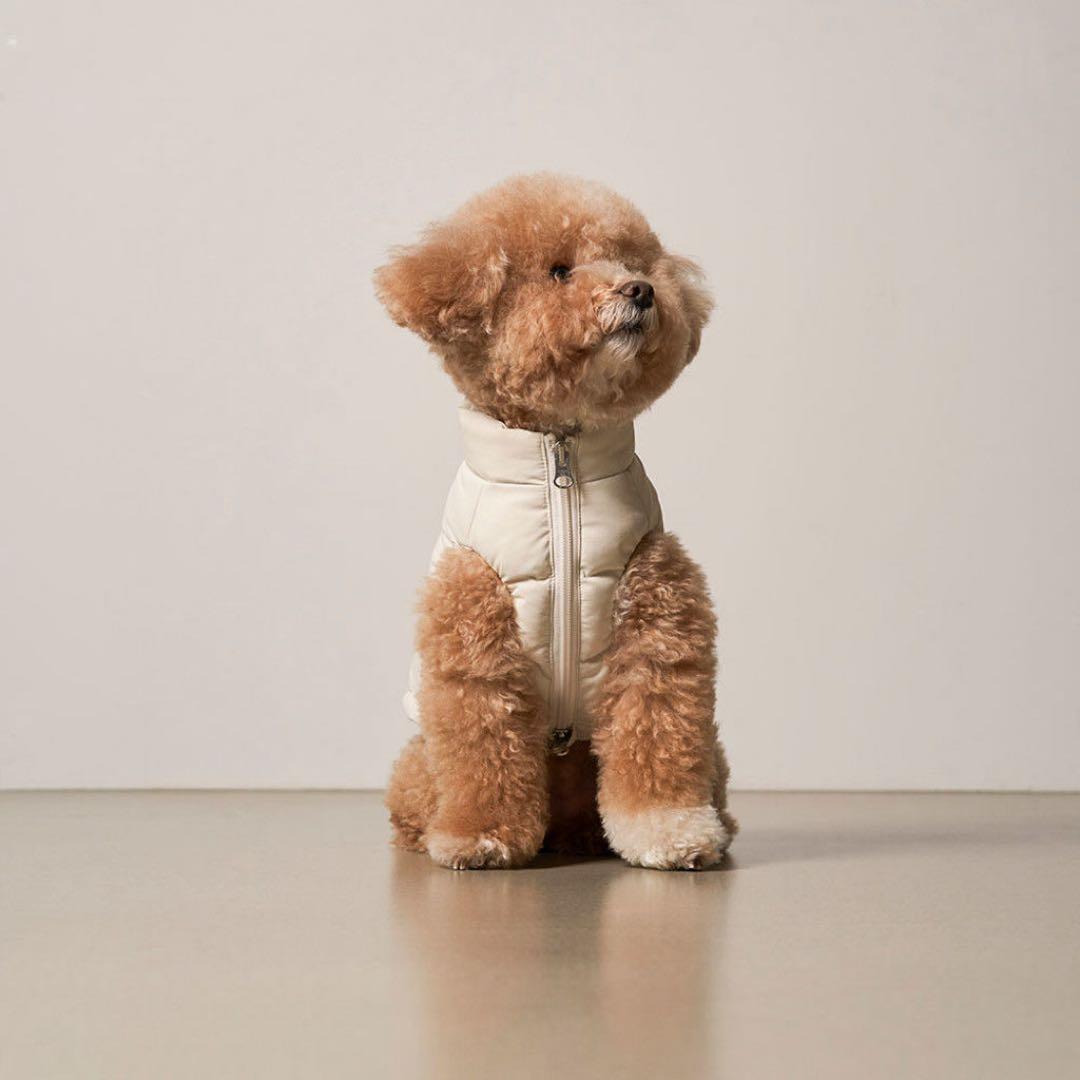 small stuff 小型犬用 黒 ダウンジャケット