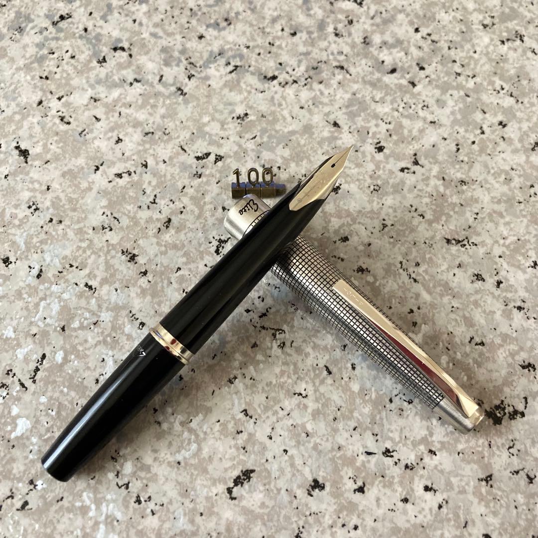 #100 オーバーホール済み 万年筆 PILOT パイロットSilver 18k