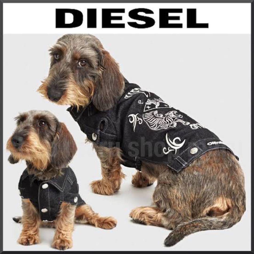 希少！DIESEL 犬服 3S