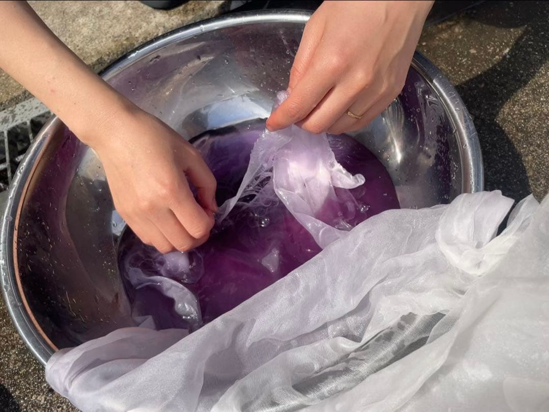 奥能登育ち　紫根　種　40粒＋　絶滅危惧種　染色