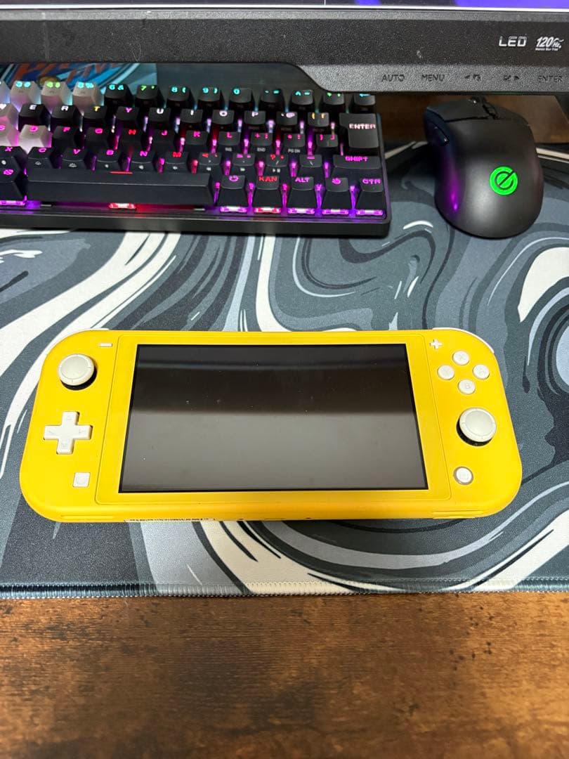 動作確認済み任天堂SwitchLight本体