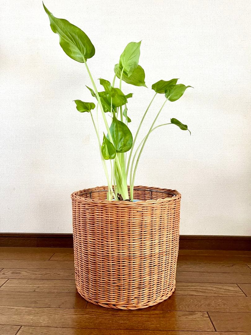ラタン バスケット 収納 かご 籐 リビング ずんどう オシャレ 存在感