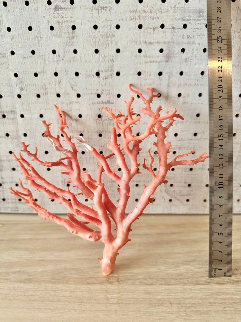 加工無し　ピンクサンゴ　桃珊瑚　原木