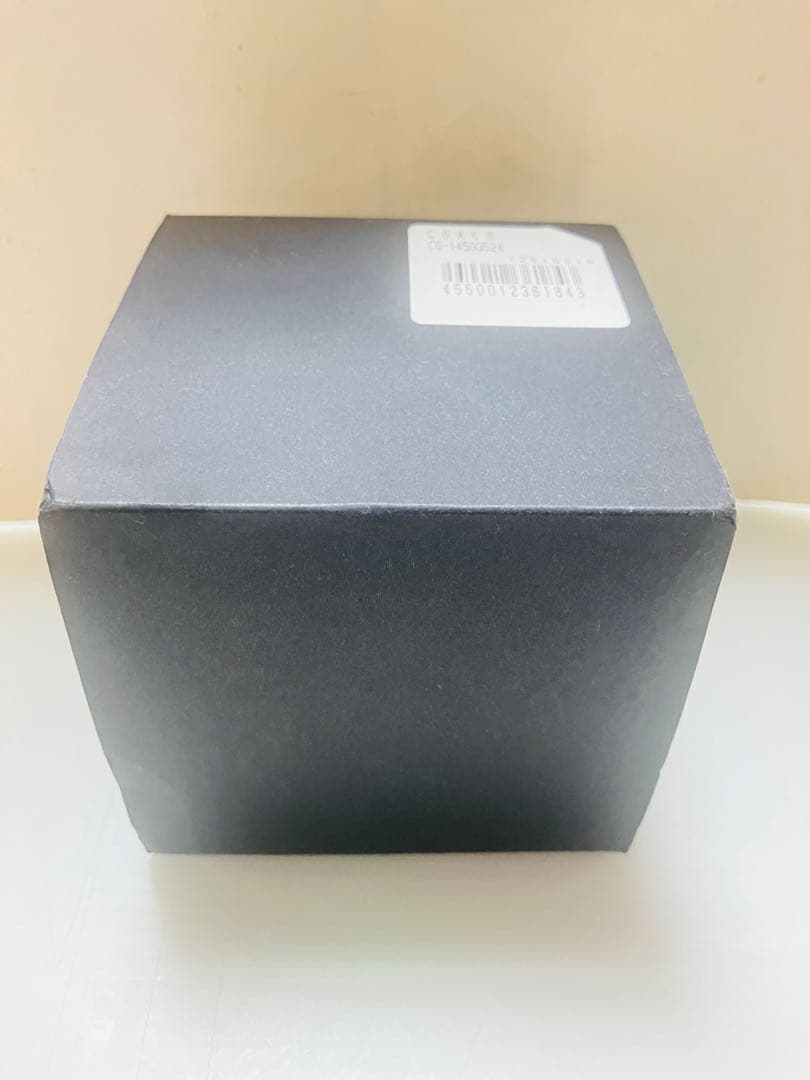 【新品未使用】COACH コーチ 腕時計 Perry Starry Dial