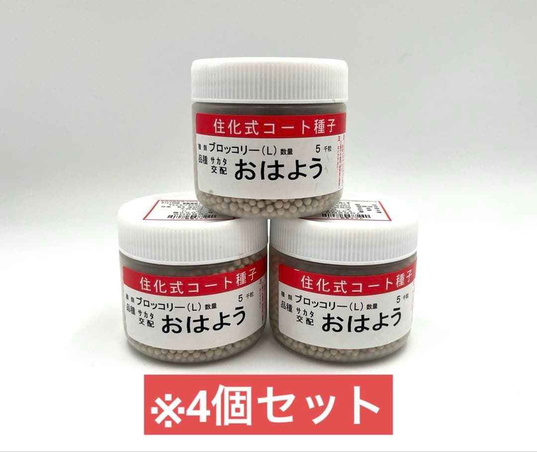 【お年玉価格】値下げ！ブロッコリー種子（おはよう）5000粒4個セット