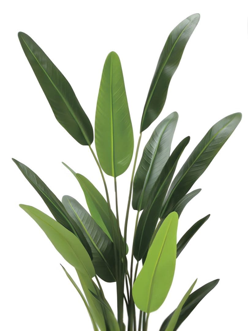 光触媒　人工観葉植物　フェイクグリーンフレッシュトラベラーズパーム1.55m