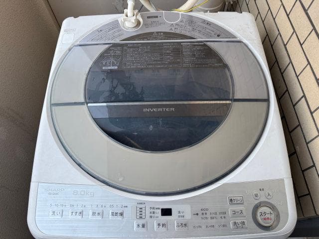 SHARP ES-GV8C 8.0kg 洗濯機 本体