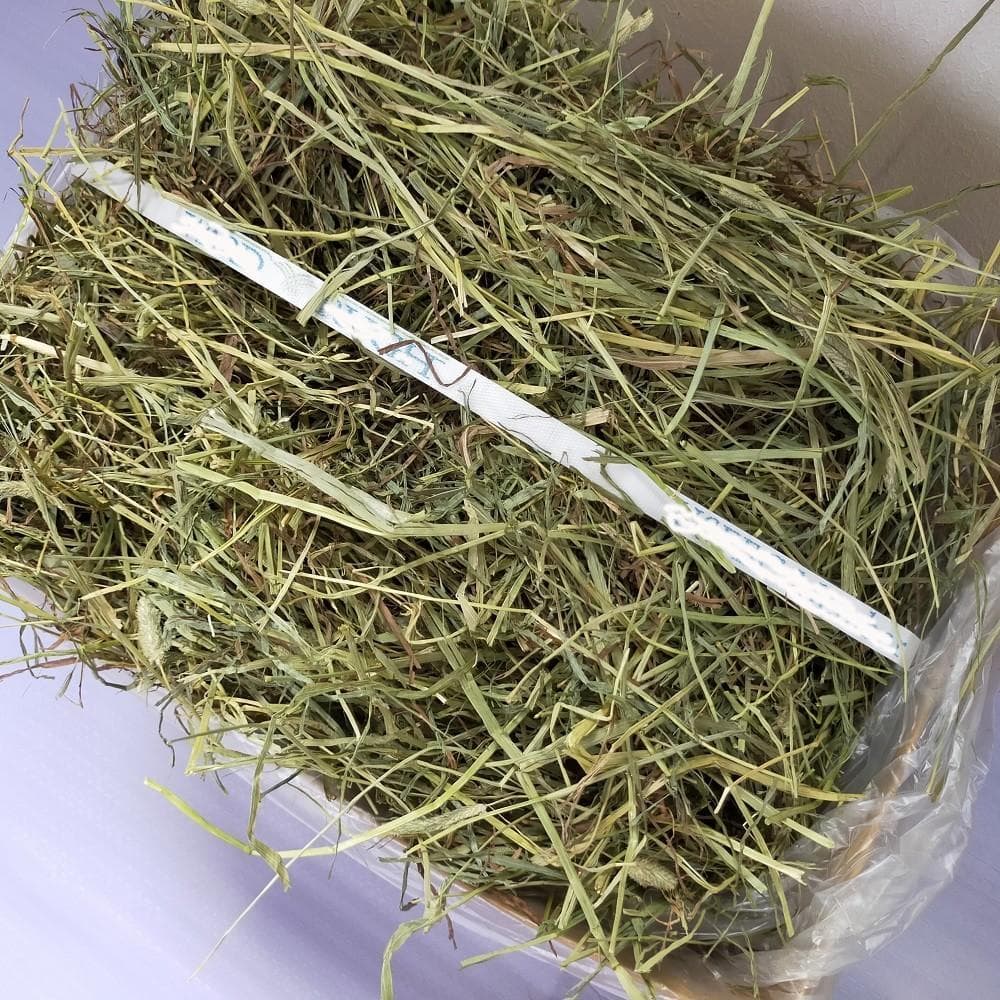 【6/30まで】US産 チモシー 50kg ２番刈り ソフトSプレミアム