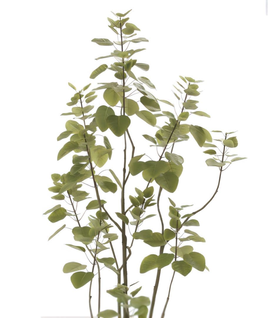 光触媒　人工観葉植物　フェイクグリーン　アーバンブランチツリー1.8