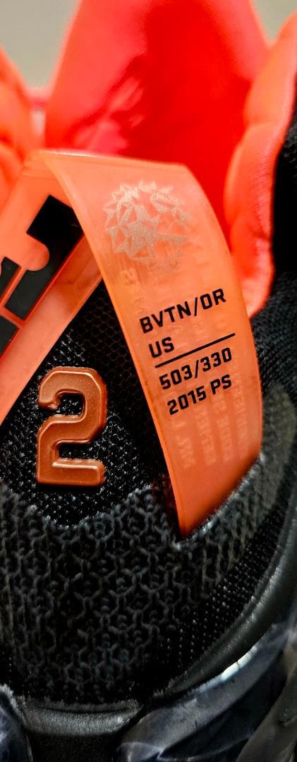 新品未使用Nike LeBron XII ELITE 12 31cm