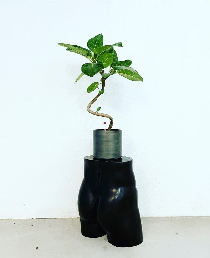 ReBodyABC レトロ 下半身トルソー