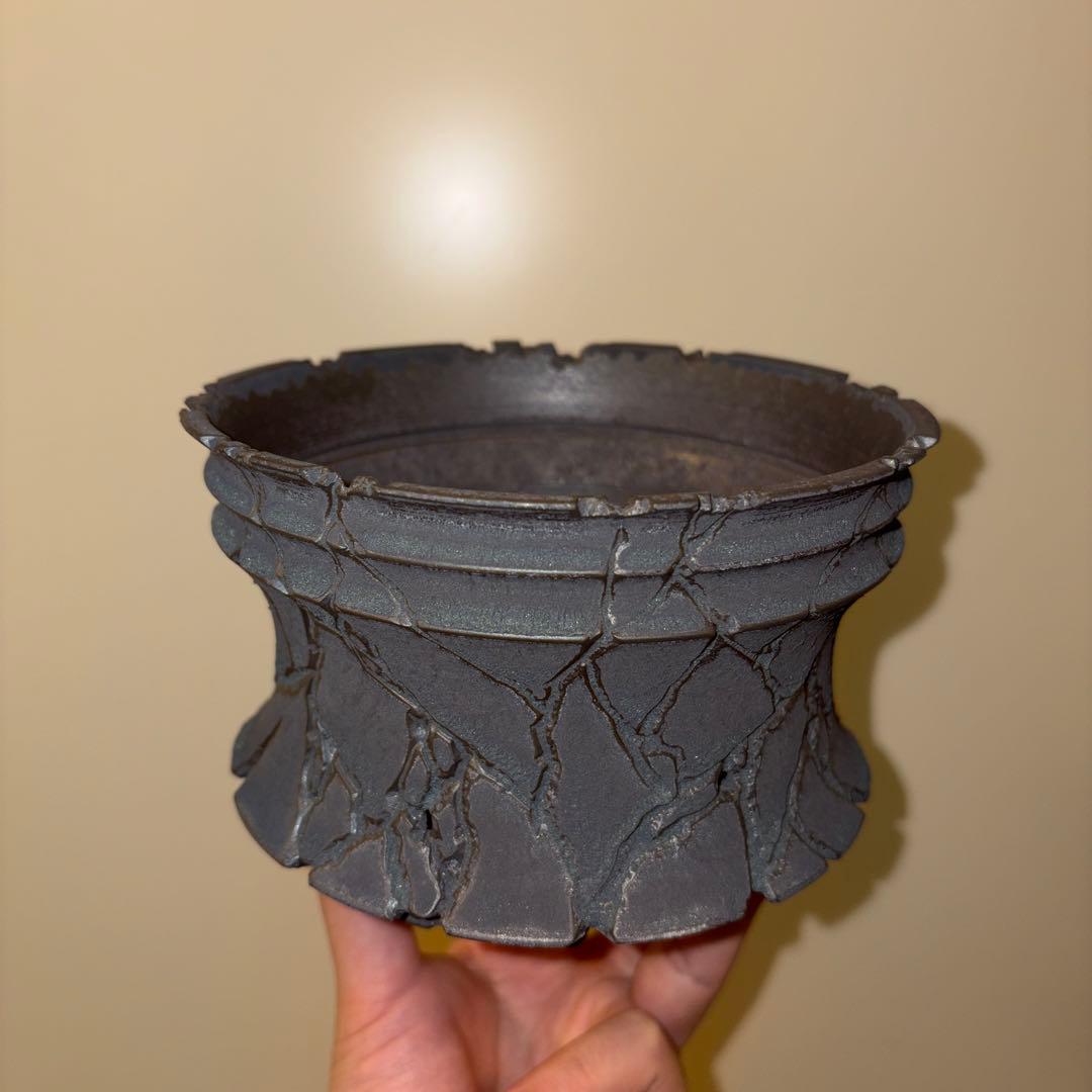 XL 植木鉢 作家鉢 グラキリス パキプス 恵比寿笑い 黒鬼城 晃山 チタノタ