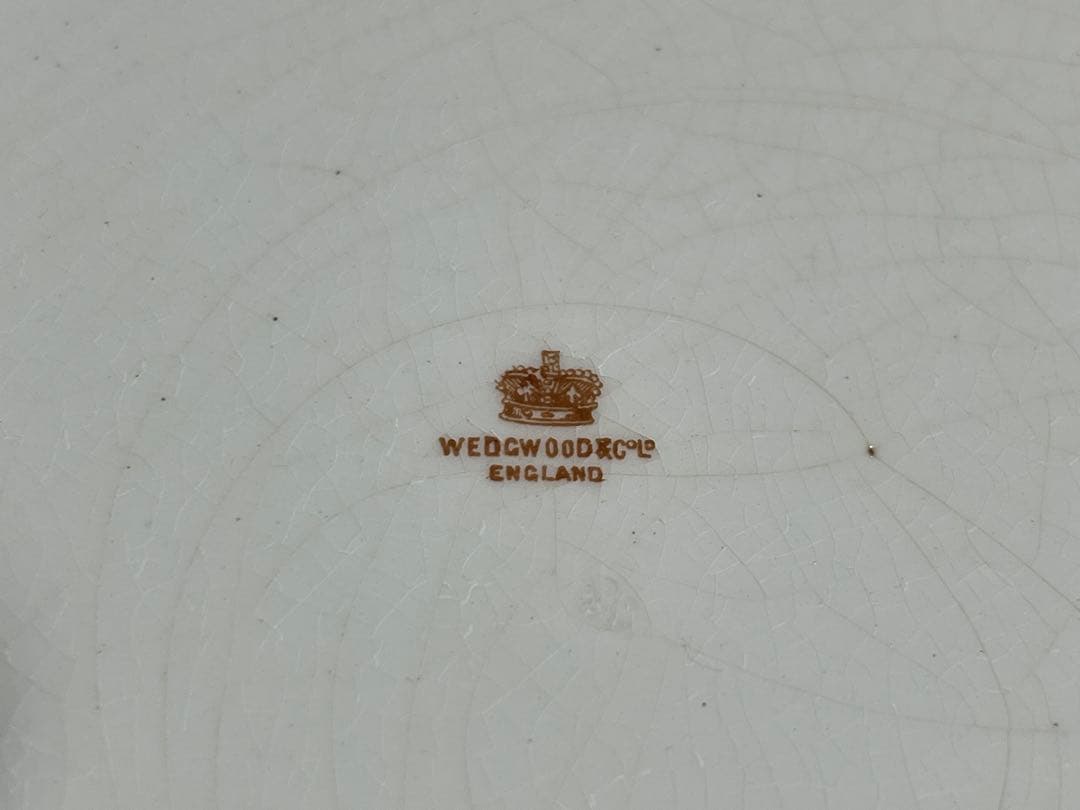  ウェッジウッド ディナープレート 10枚セット 26.5cm