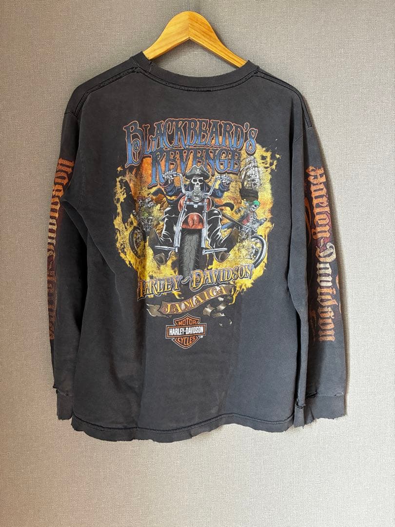 ハーレーダビッドソン ファイヤーパターン ロングtシャツ