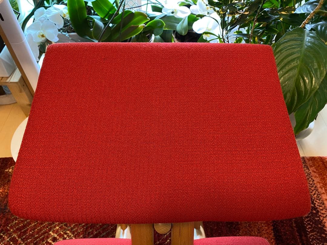 ストッケ　ブァリエール　マルチバランス　レッド　本国仕様