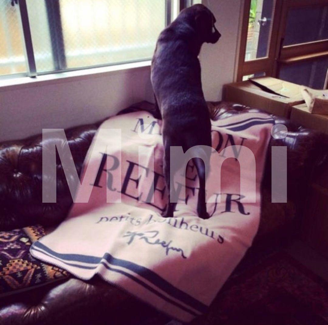 MAISON DE REEFUR　ブランケット　毛布