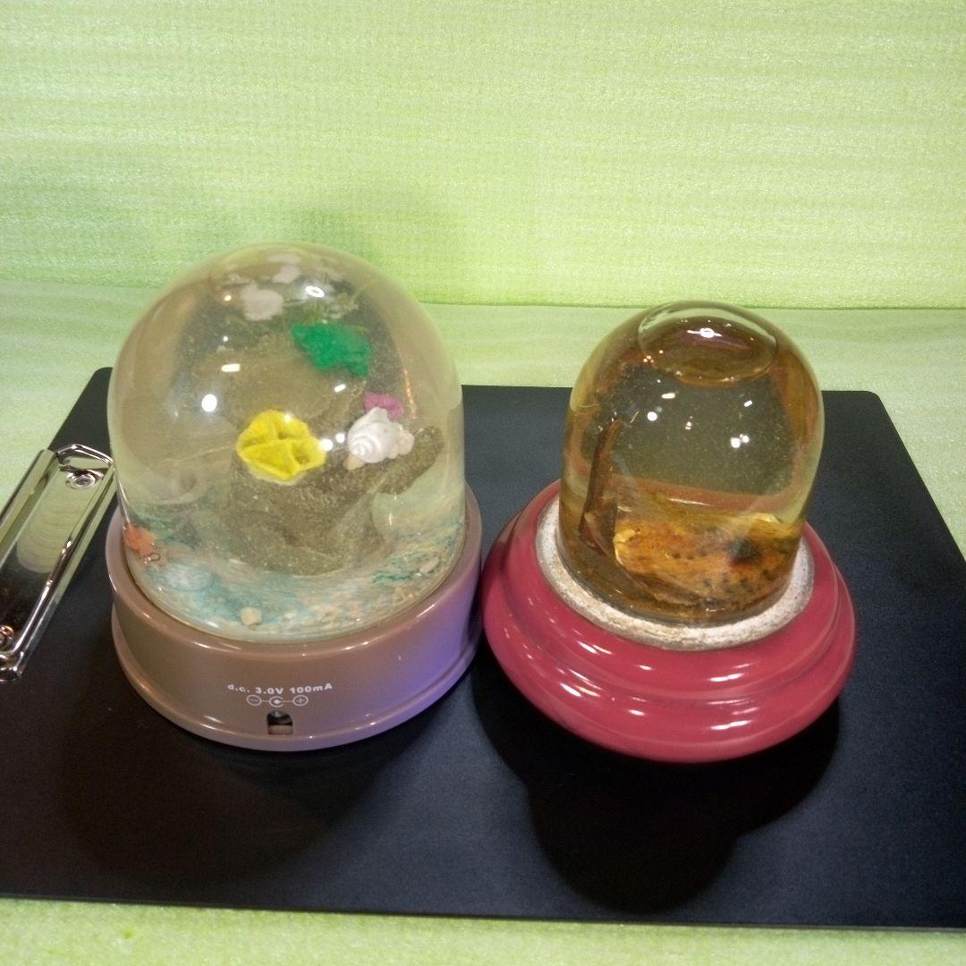 ①Dynamic Aquarium　②真珠貝　ガラスドーム　①②セット　おまとめ