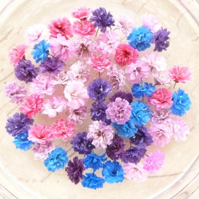 ResinArt❁NICOLE❁様◆ドライフラワー：染色 かすみ草 （844）