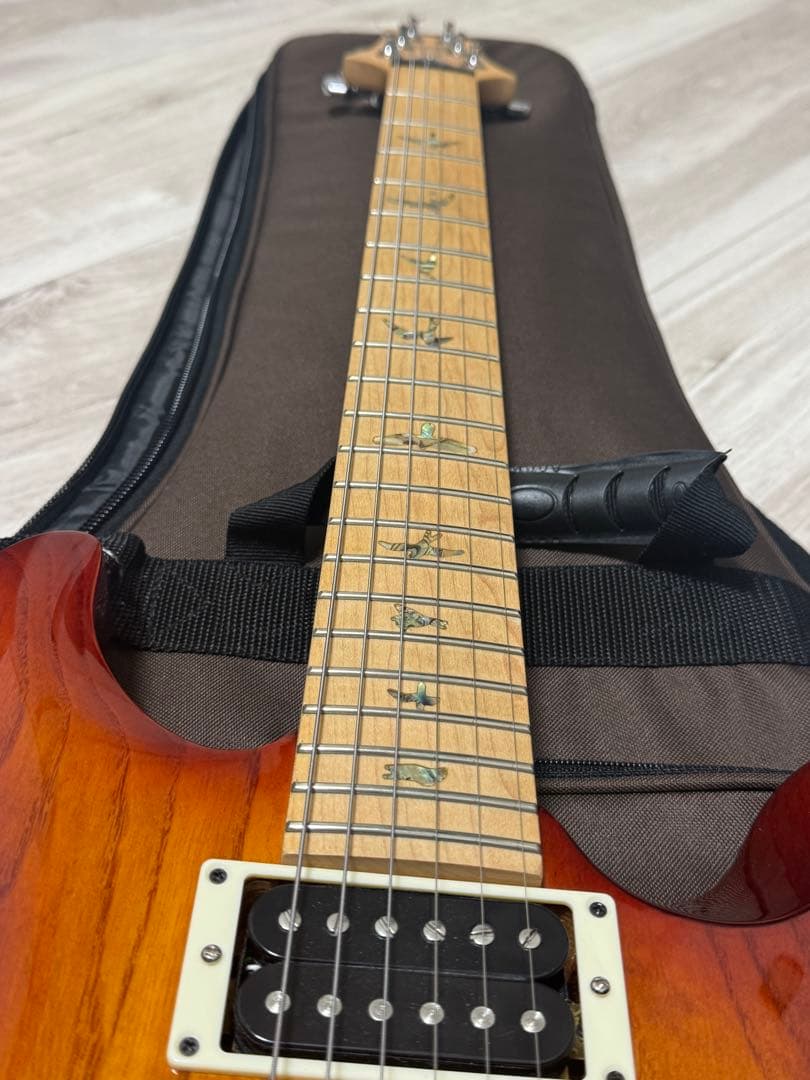 PRS SE Swamp Ash Special【中古】