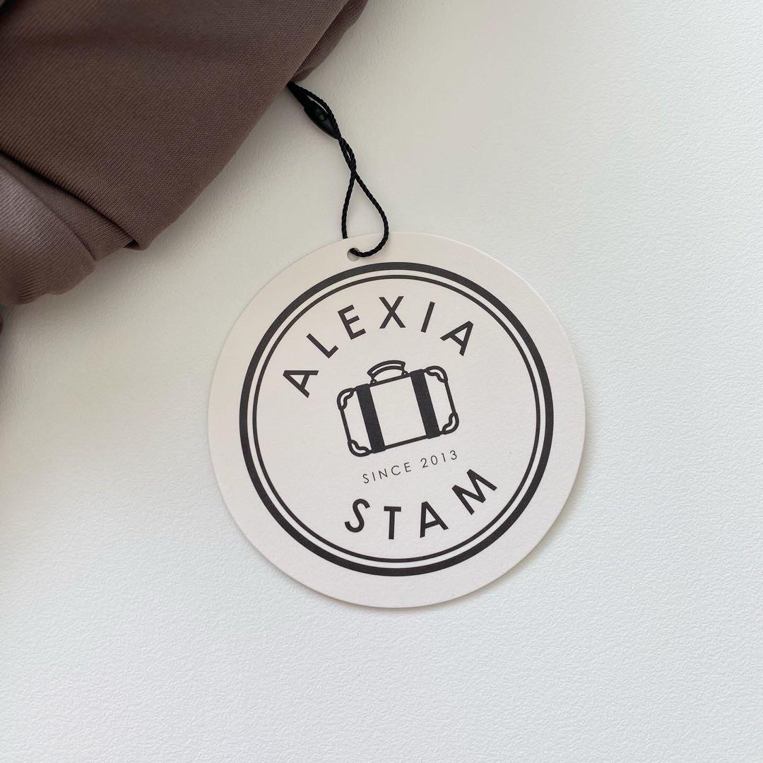 【新品　未使用✨】ALEXIA STAM ブラウン ワンピース水着