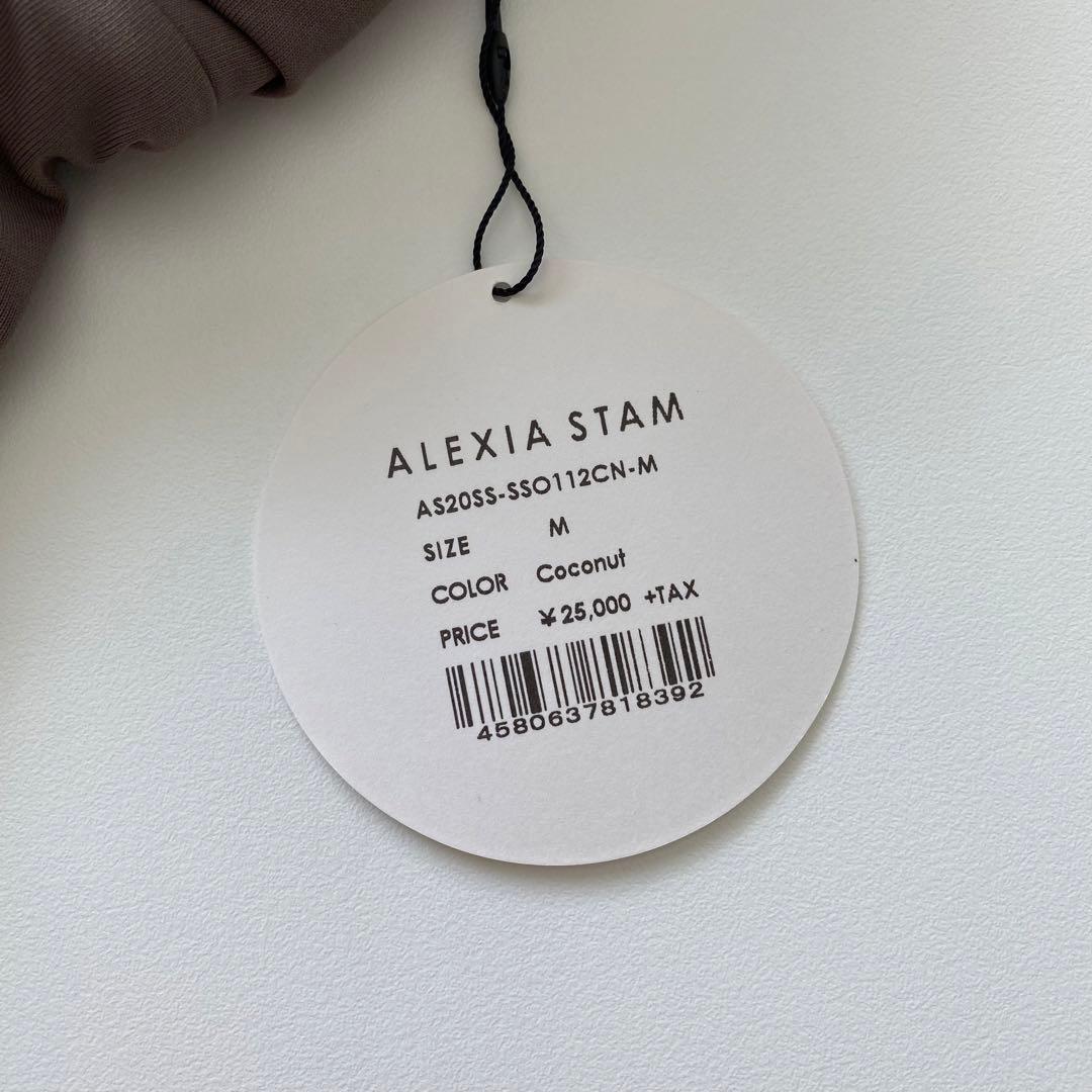 【新品　未使用✨】ALEXIA STAM ブラウン ワンピース水着
