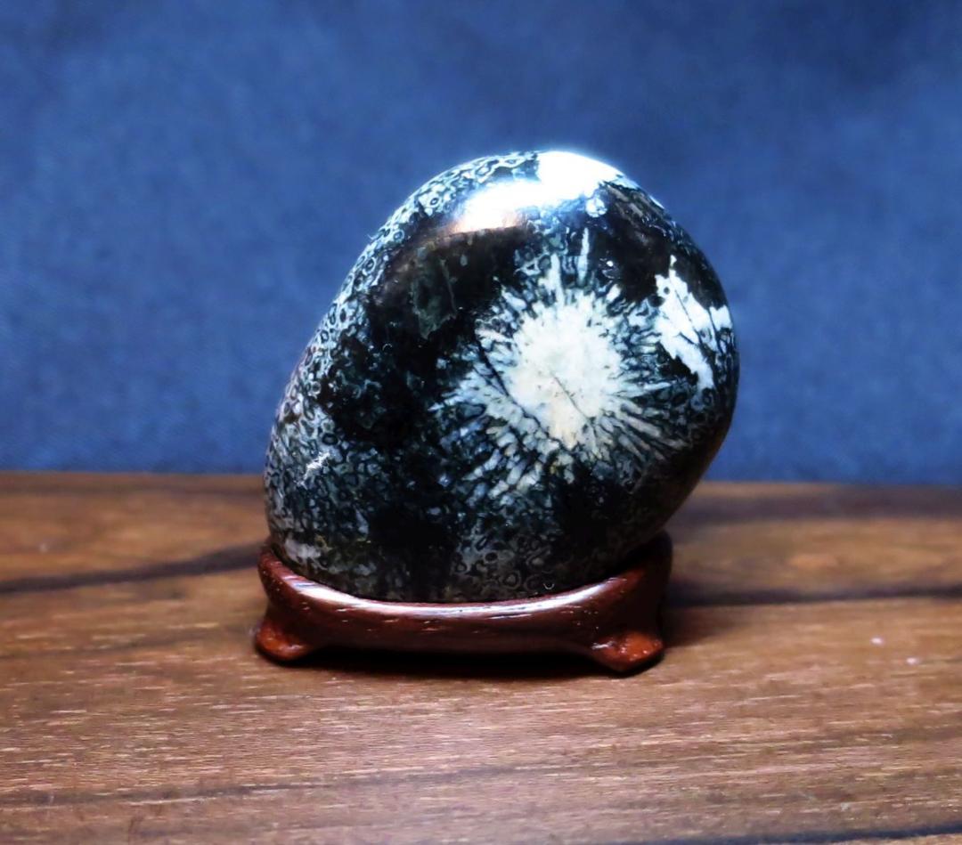 ミニ菊花石　根尾菊花石　孔雀石　糸菊　水石　鑑賞石　紋様石　盆栽