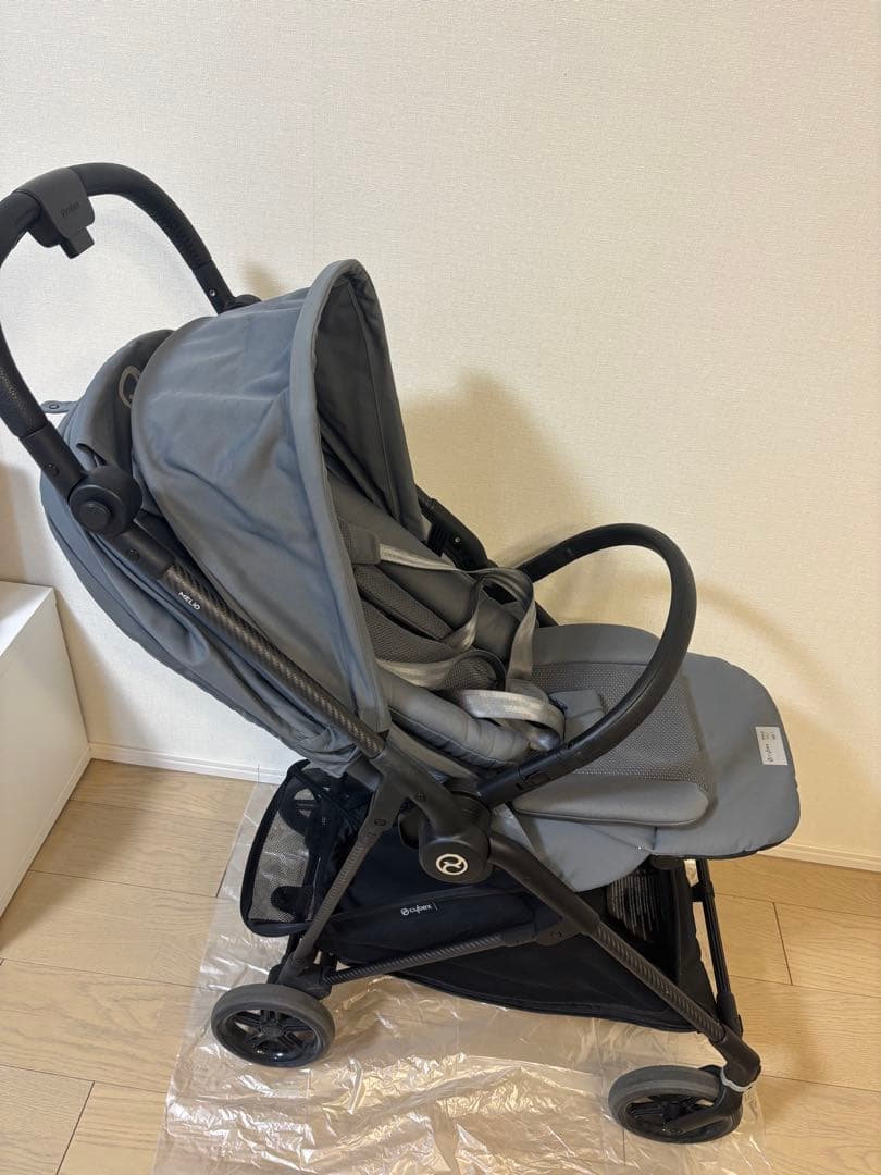 サイベックスメリオカーボン2022