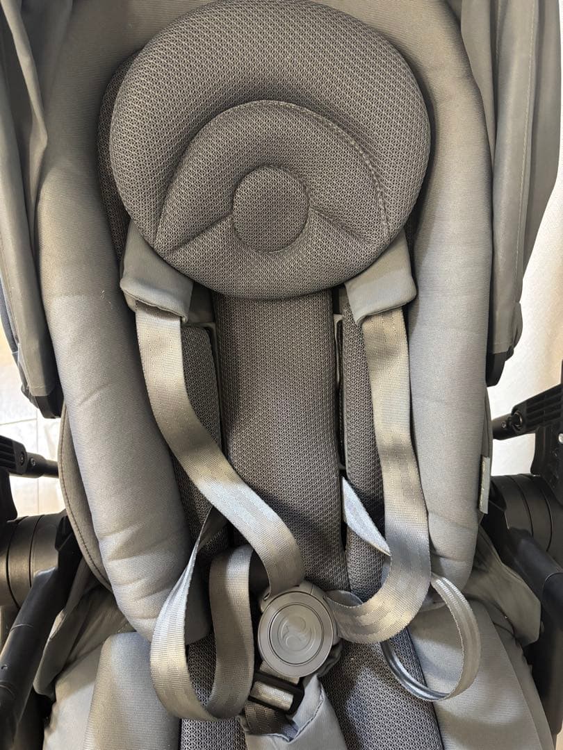 サイベックスメリオカーボン2022