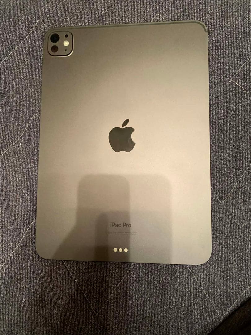 美品　Apple iPad Pro M4 11inch