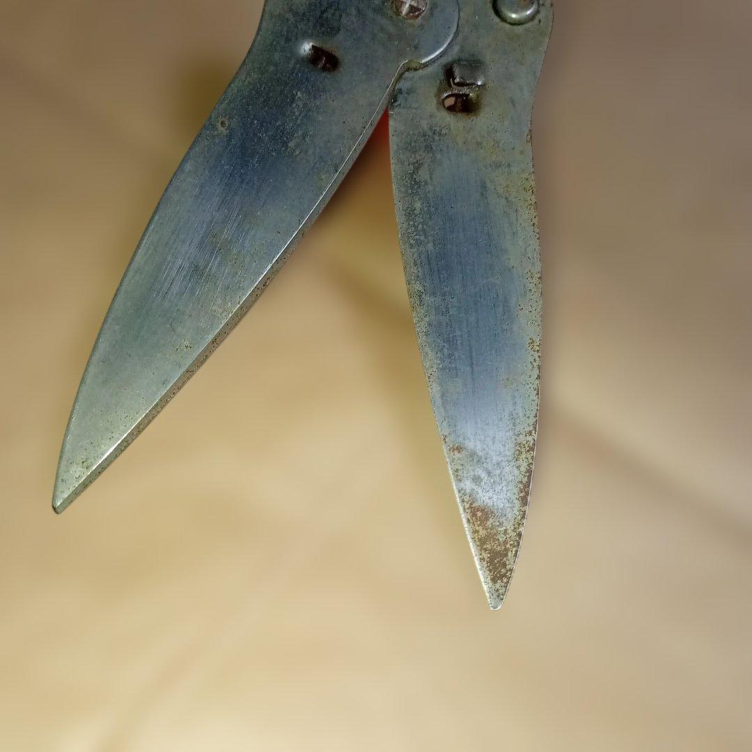 サボテン 剪定用ハサミ オレンジ　サボテン ハンドグラスシザー　アンティーク