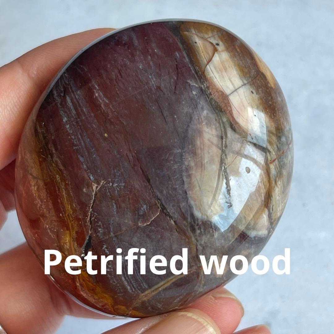 ペトリファイド ウッド パー握り石 珪化木 マダガスカル産