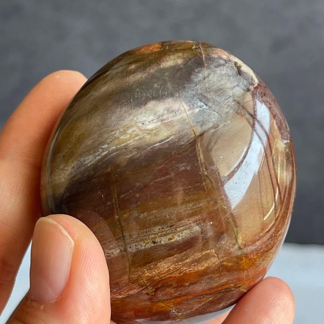 ペトリファイド ウッド パー握り石 珪化木 マダガスカル産