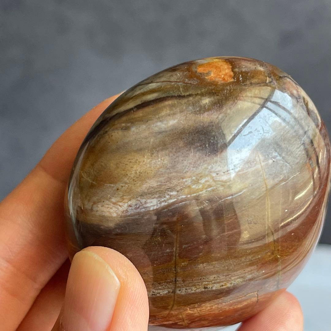 ペトリファイド ウッド パー握り石 珪化木 マダガスカル産