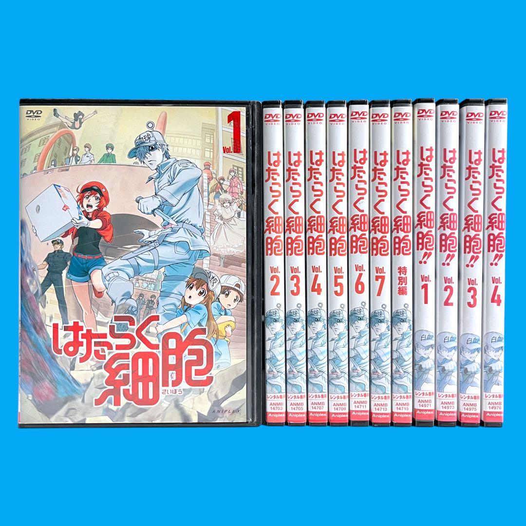 新品ケースDVD 「 はたらく細胞 」 1期・特別編・2期 全12巻 豪華セット