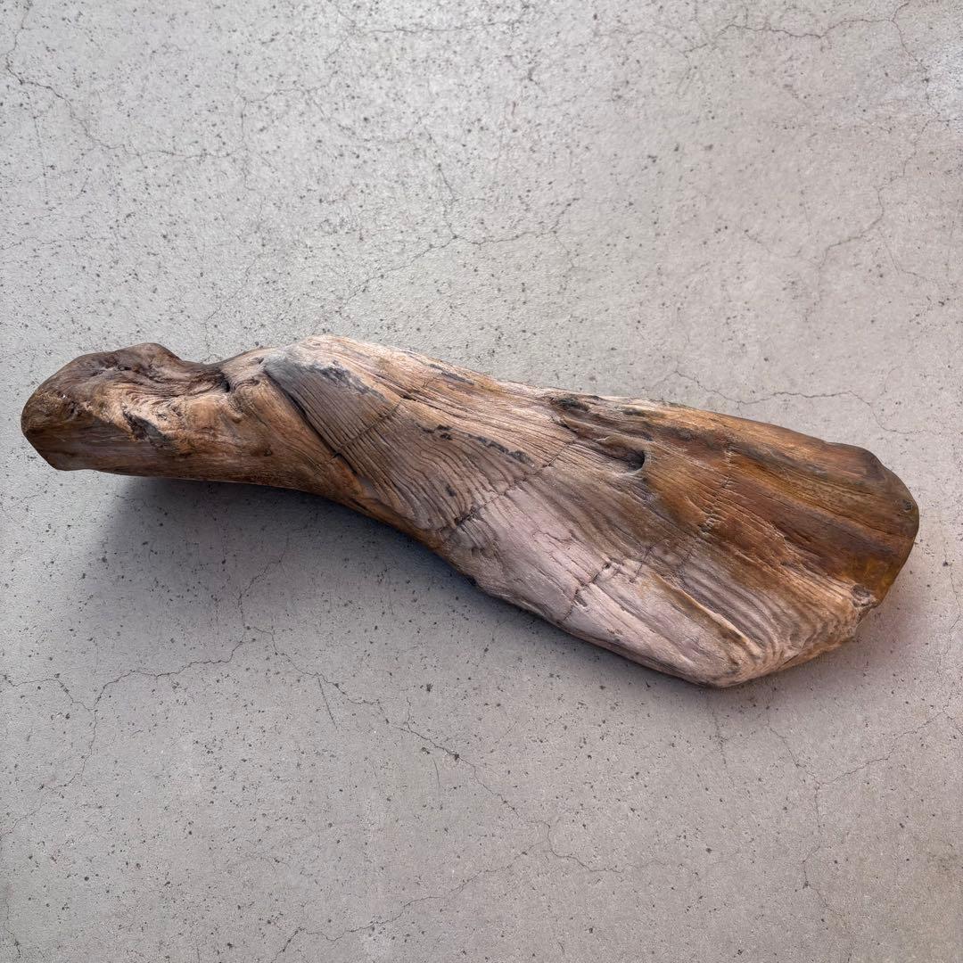 【週末限定SALE】珪化木（木の化石） ペトリファイドウッド